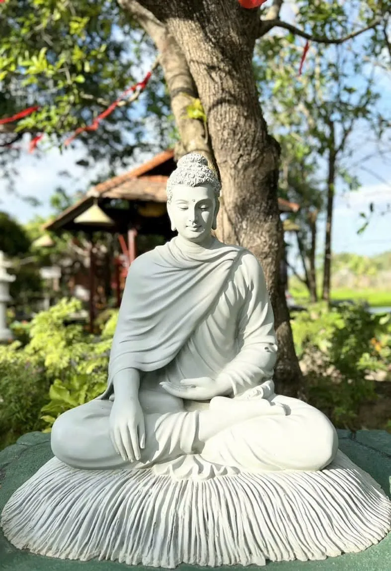 Ảnh 1 — Gởi con người thích tử lội ngược dòng