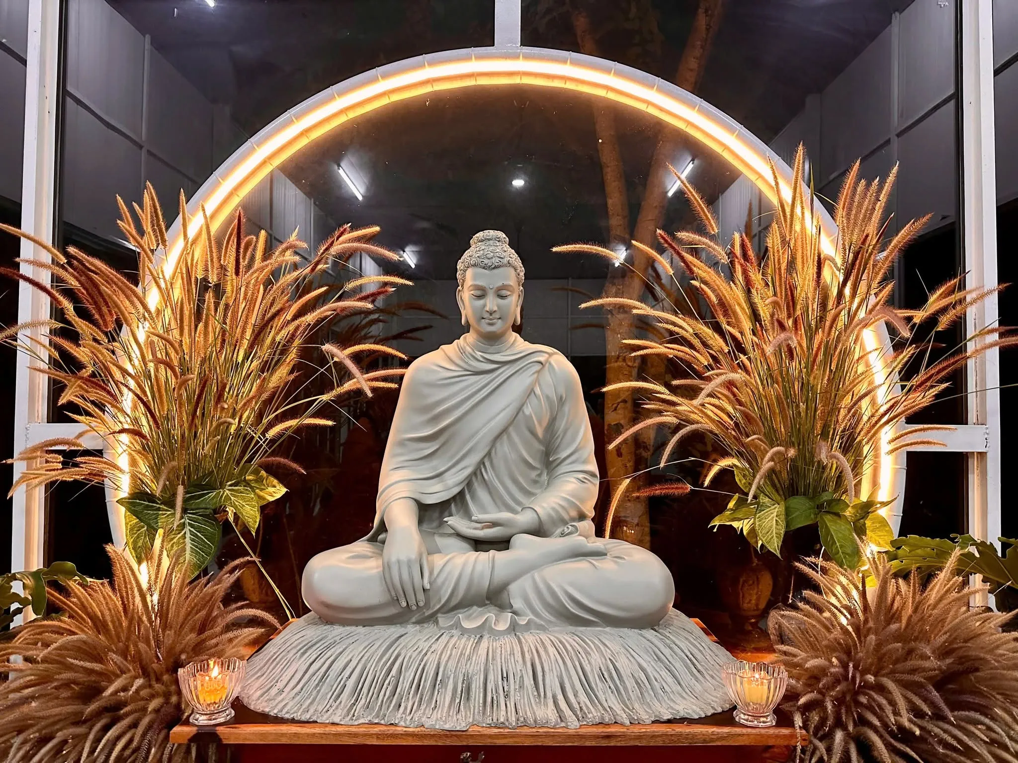 Ảnh 1 — Tết trên rừng thiền