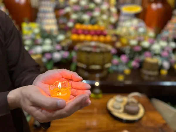 Mưa xuân lay động lòng nhân thế