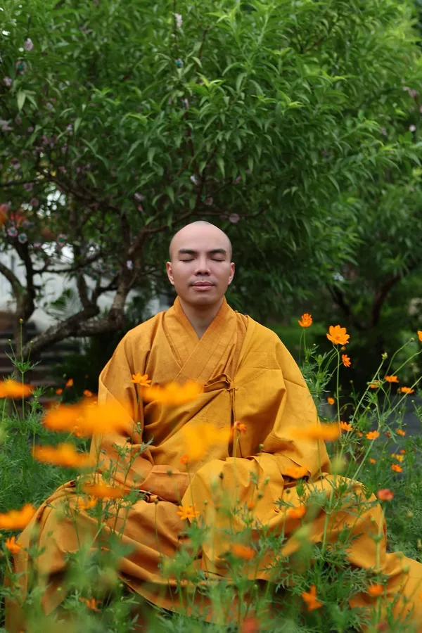 Gió đến vô ngôn, cây chẳng động