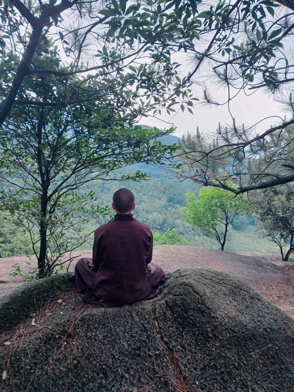 Vững chãi như núi xanh