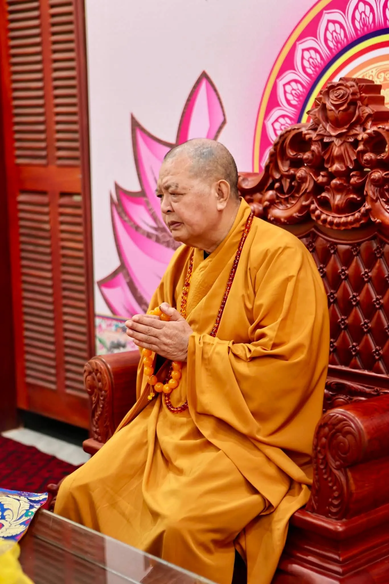 Ảnh 2 — Tổ chẳng ở Nam Bắc