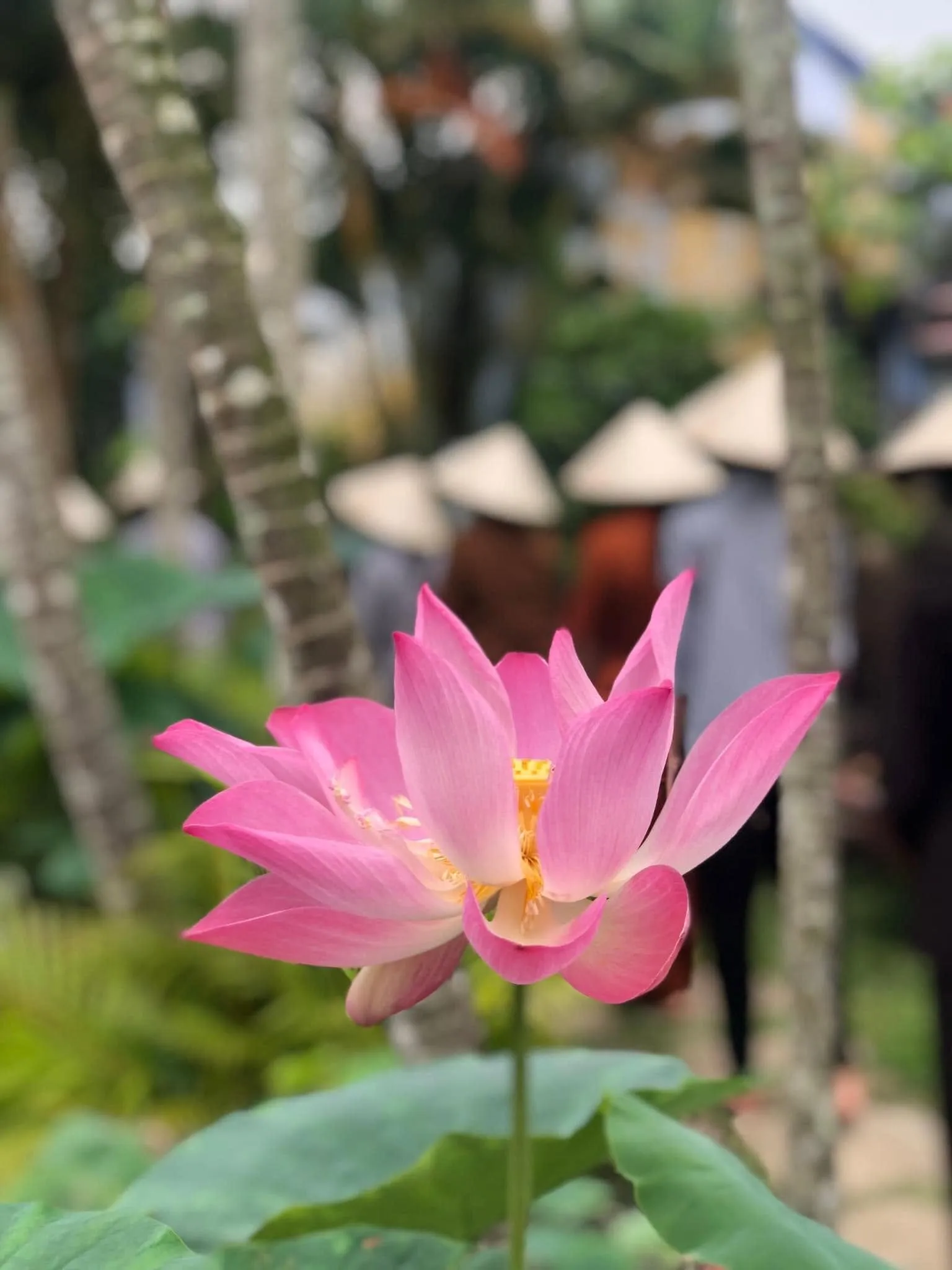 Ảnh 2 — Dù là mây hay nước
