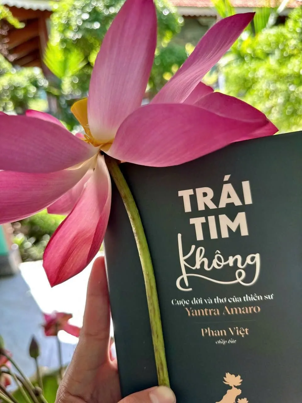 Ảnh 3 — Mưa xuân lay động lòng nhân thế