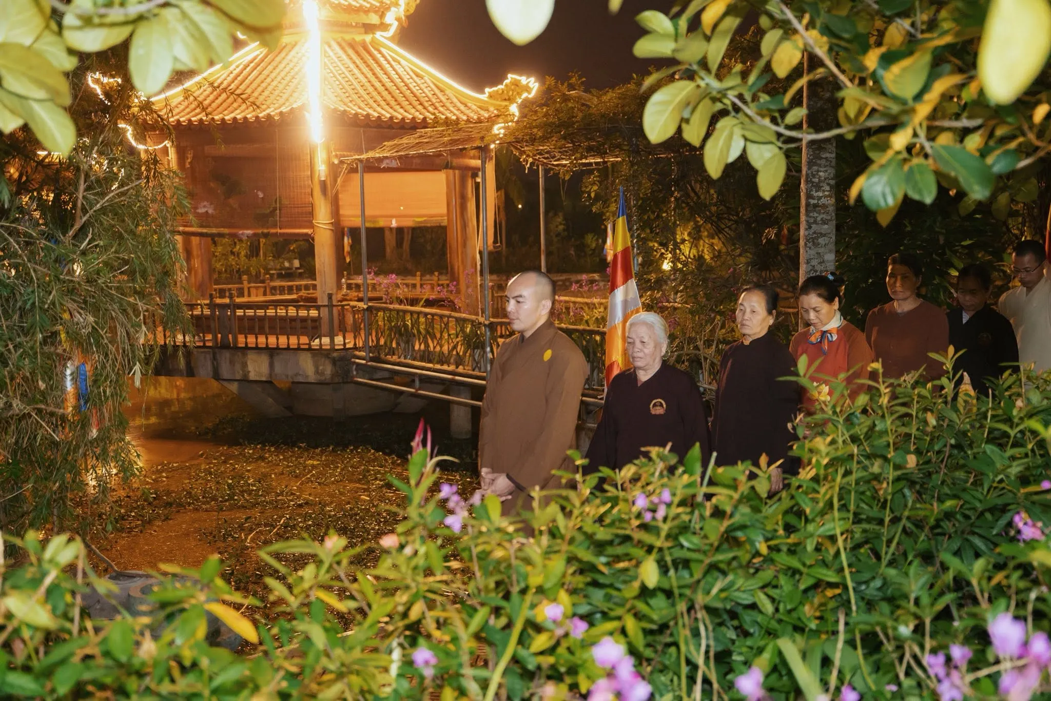 Ảnh 11 — Đồng Vọng