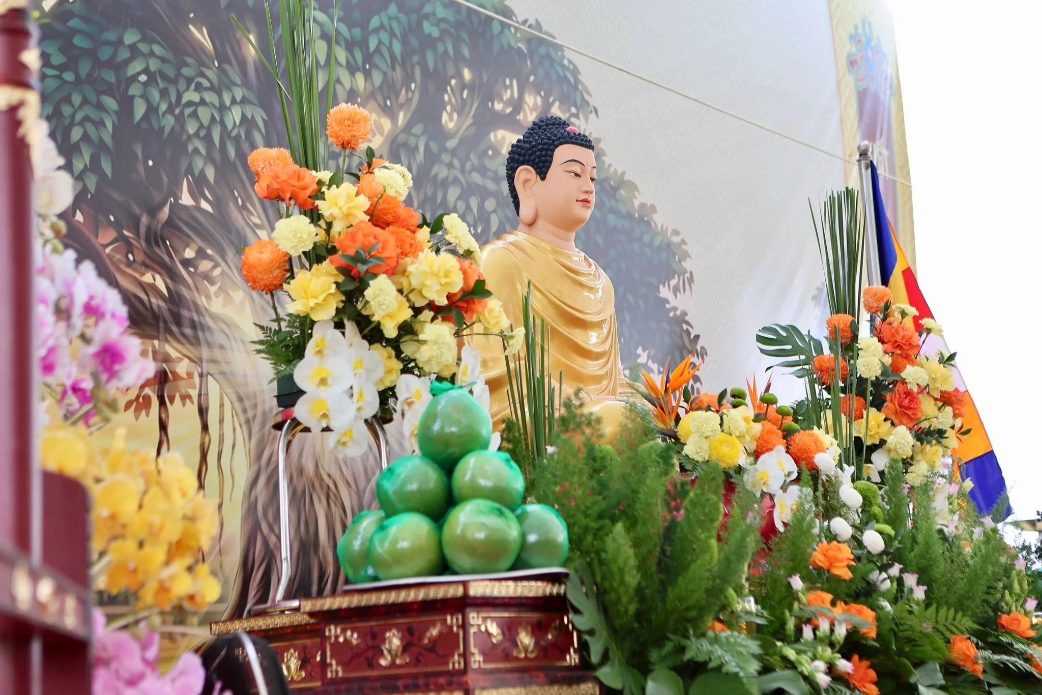 Ảnh 14 — Cơ hội để ngồi lại với chính mình