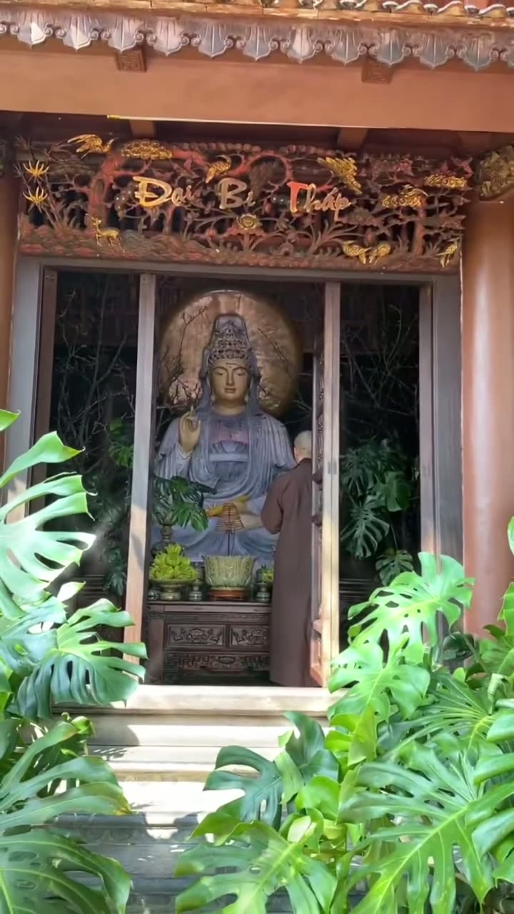 Gởi con người thích tử lội ngược dòng