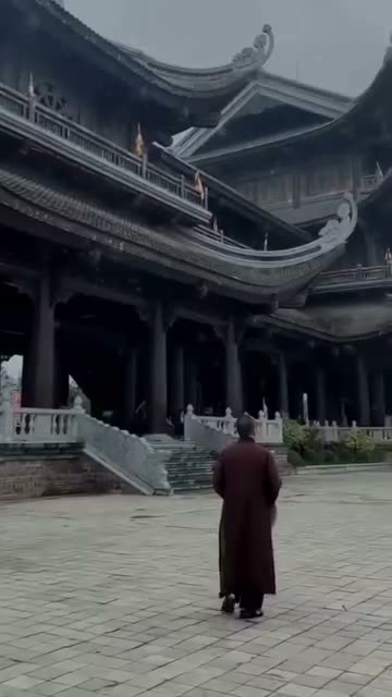 Con đã đi tìm Thế Tôn