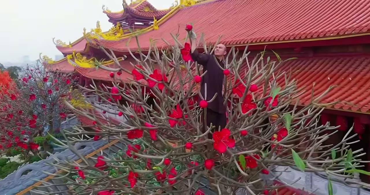 “Chàng trai hoa quả” của đại chúng đây